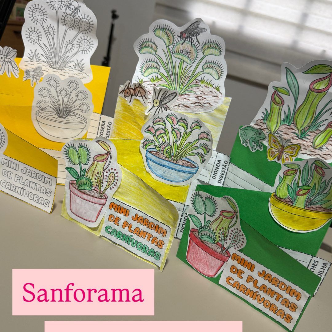 Sanforama Mini Jardim de plantas carnívoras