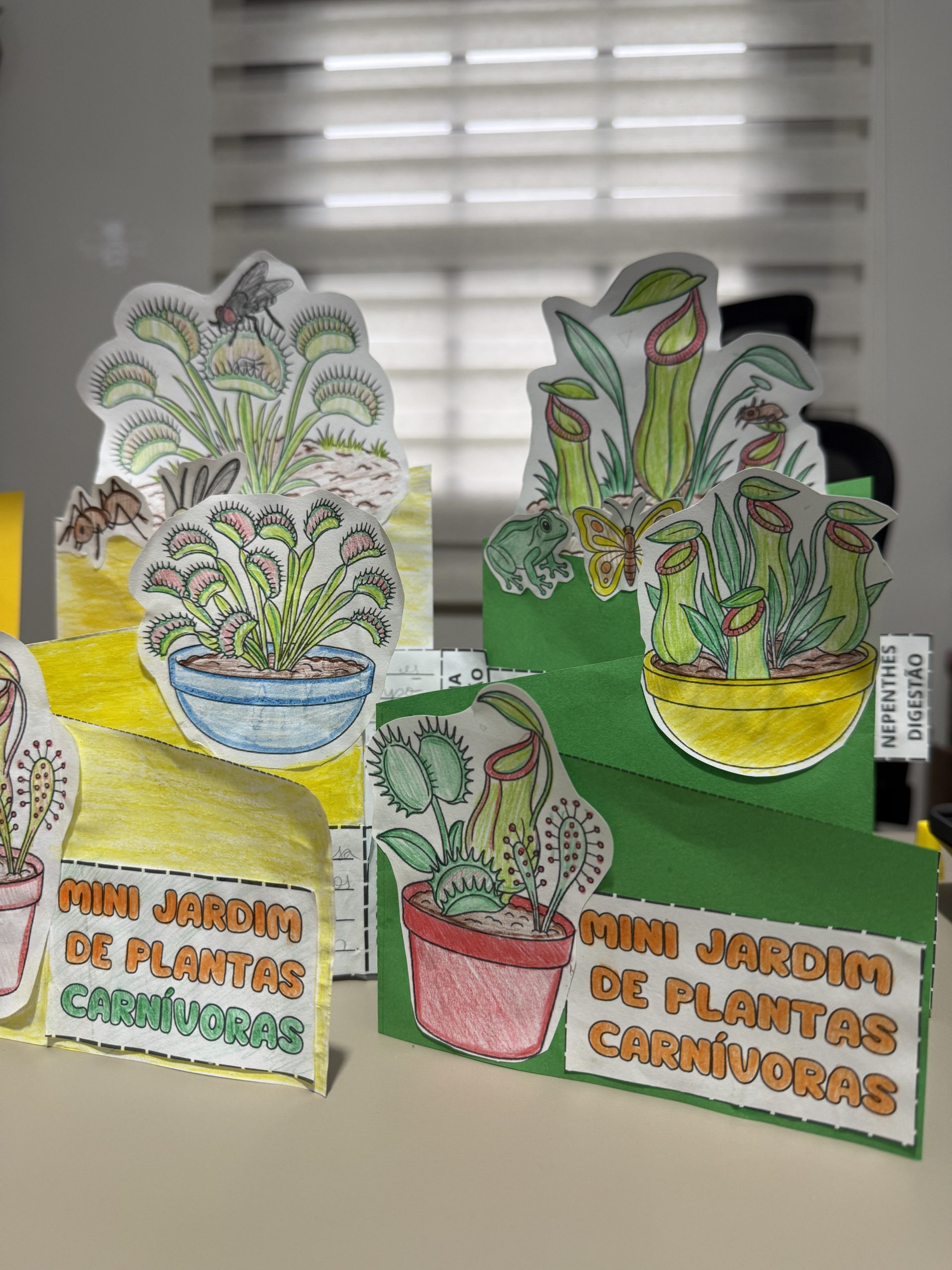 Sanforama Mini Jardim de plantas carnívoras - Imagem 4