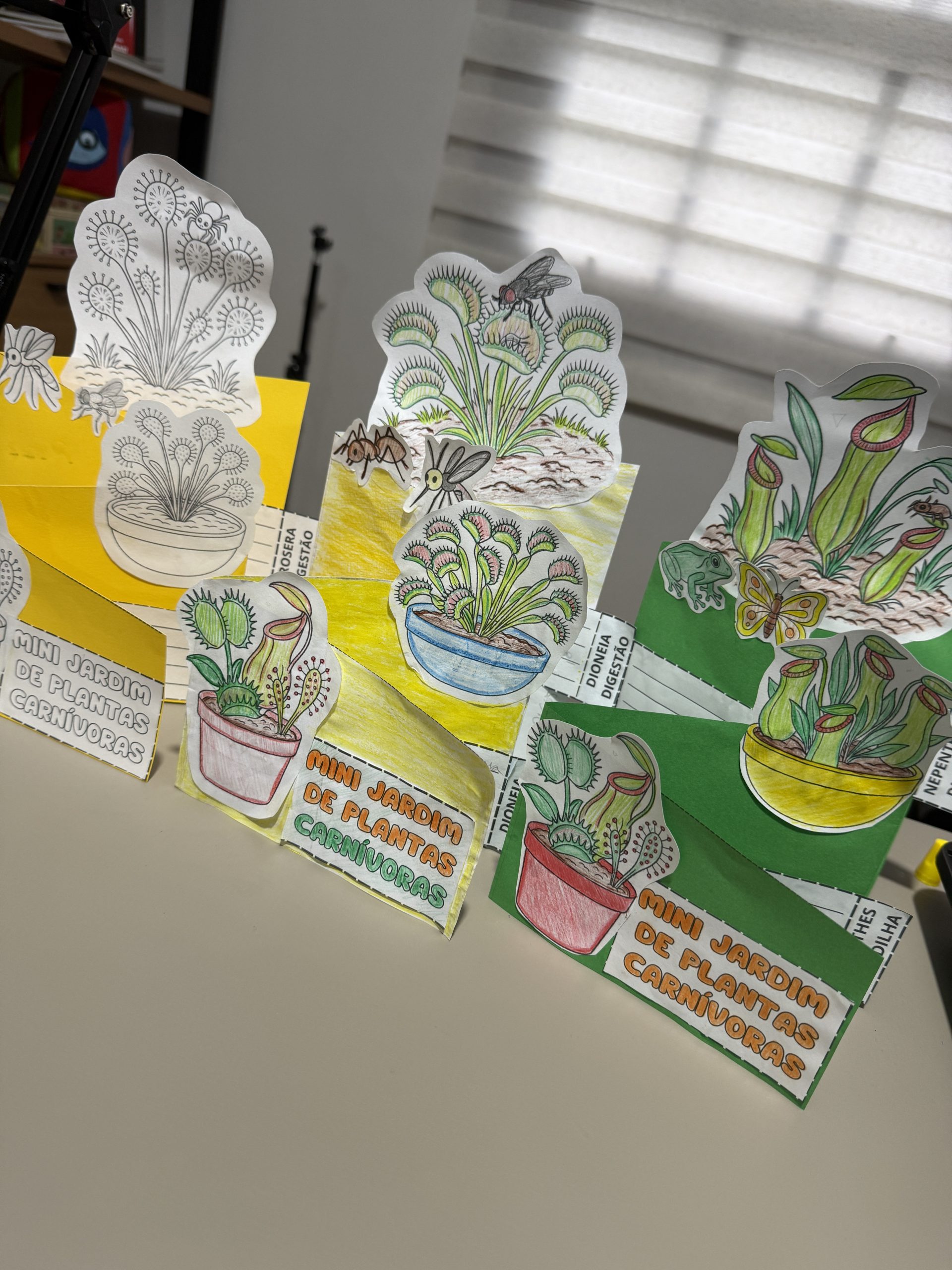 Sanforama Mini Jardim de plantas carnívoras - Imagem 2